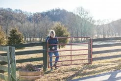 Tarter 6 Bar 8' Red Tube Gate - 6ER8 - Panels & Gates 8 Tarter 6 Bar 8' Red Tube Gate - 6ER8 - Panels & Gates -Livestock Online Store f21be1ad878362b1fb16a35ab451f0bf5a06ccfc 6ER6 AmericanGate L 01 3