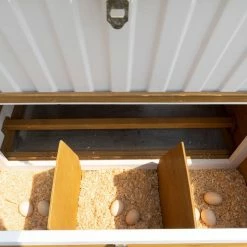 Country Road Barn Ranch Chicken Coop PVC Roof - SHW10993 - Chicken Coops 33 Country Road Barn Ranch Chicken Coop PVC Roof - SHW10993 - Chicken Coops -Livestock Online Store f24cf8137df016432bce8259f2038581af89c6ce 41220002 4