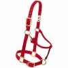 Weaver Leather Original Adjustable Nylon Horse Halter - Red - 1 Inch Small - 35-7034-RD - Nylon Halters 1 Weaver Leather Original Adjustable Nylon Horse Halter - Red - 1 Inch Small - 35-7034-RD - Nylon Halters -Livestock Online Store f26c850042a5d311b5d881bda2845b6eeada346d 67504303 67504303 image 35 7034 rd