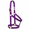 Weaver Leather Basic Non - Adjustable Nylon Halter - Purple - 1 Inch Small Horse - 35-7404-PU - Nylon Halters 2 Weaver Leather Basic Non - Adjustable Nylon Halter - Purple - 1 Inch Small Horse - 35-7404-PU - Nylon Halters -Livestock Online Store f58fd2ebfcfcbc54fbd01d5a18d1181c50bd7d15 675200013 675200013 image 35 7404 pu