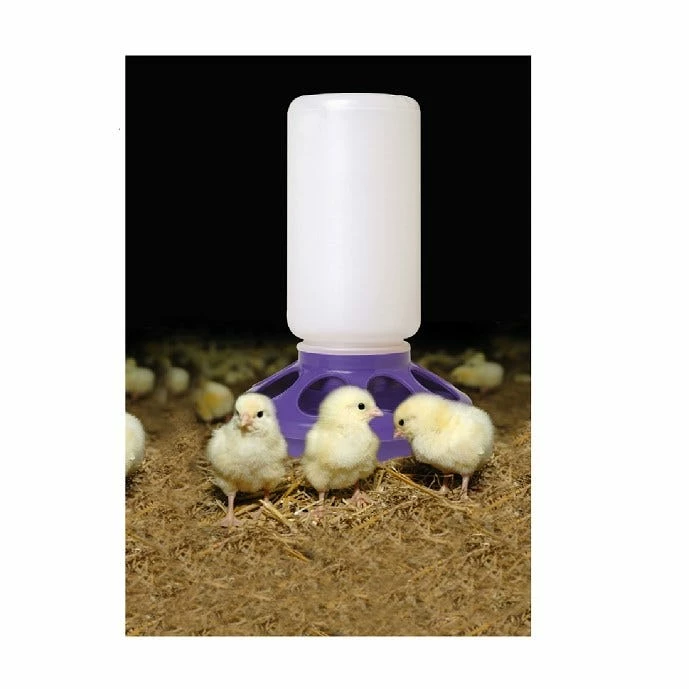 Little Giant Poultry Feeder Base, 1 Quart - 806PURPLE - Livestock Supplies 4 Little Giant Poultry Feeder Base, 1 Quart - 806PURPLE - Livestock Supplies - Image 2