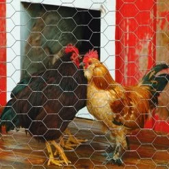 Garden Craft 12" x 50' Chicken Wire with 1" Openings - 161250 - Fence and Wire -Livestock Online Store f8e0855806d26f30ffe26d9f7979ea688db90d06 99490100 3