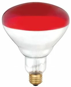 Various Brands Brooder 125 Watt Red Faced Heat Lamp Bulb - 10001329 - Livestock Supplies -Livestock Online Store ffe7f1bf88d67a6e901cc96f3e74d8cacfaca47a 62000048 62000048 image 62000048