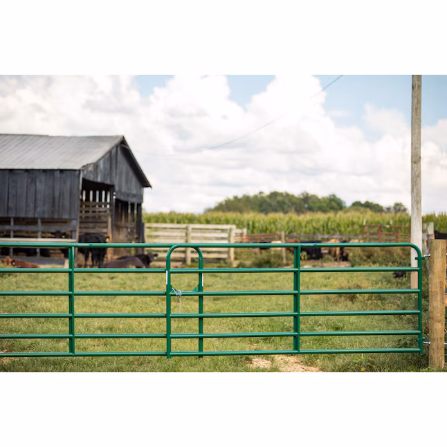 Livestock Online Store -Livestock Online Store 49052459