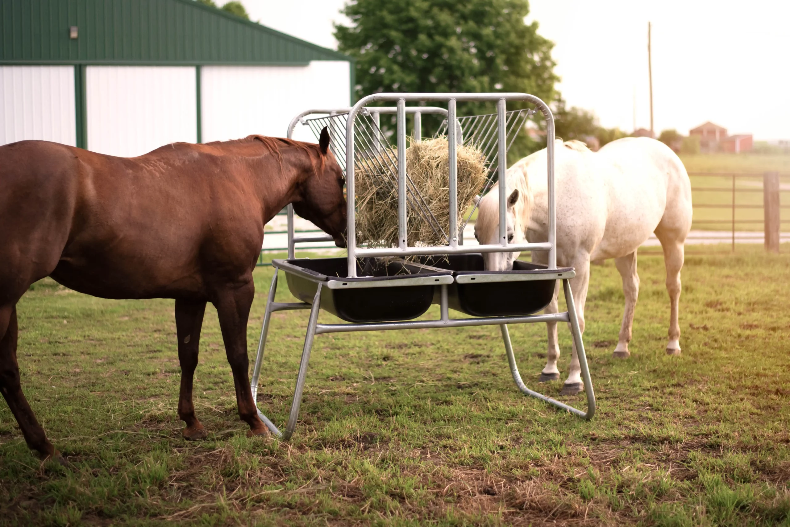 Livestock Online Store 3 Livestock Online Store -Livestock Online Store horse feeder bunk 1 scaled 1